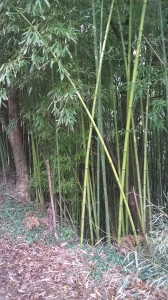 WP_20161025_008.jpg