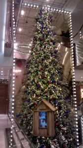 WP_20161117_001.jpg