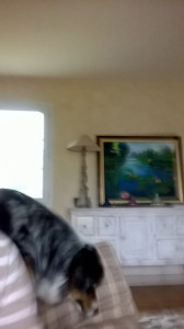 WP_20161124_005.jpg