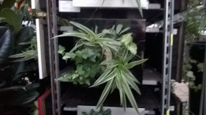 WP_20161214_001.jpg