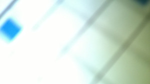 WP_20161227_003.jpg
