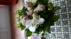 WP_20161227_005.jpg