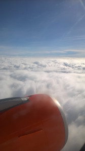 WP_20170221_001.jpg