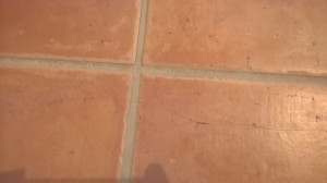 WP_20170312_005.jpg