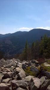 WP_20170409_002.jpg