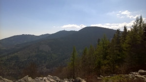 WP_20170409_007.jpg