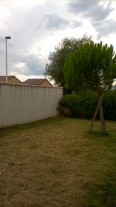 WP_20170710_001.jpg