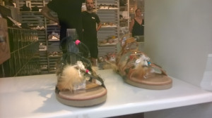 WP_20170722_010.jpg
