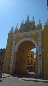 WP_20170723_003.jpg