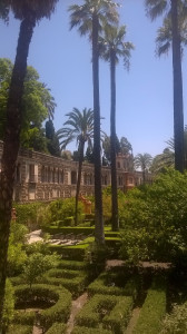 WP_20170723_018.jpg