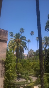 WP_20170723_019.jpg