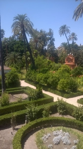 WP_20170723_020.jpg