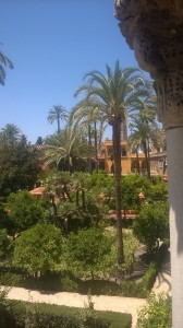 WP_20170723_021.jpg