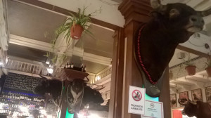 WP_20170723_030.jpg