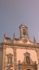 WP_20170725_023.jpg