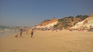 WP_20170726_014.jpg