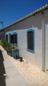 WP_20170727_013.jpg