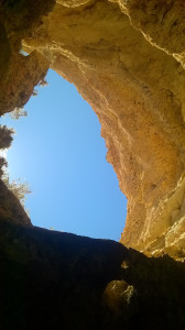 WP_20170728_015.jpg