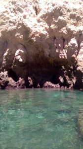 WP_20170728_021.jpg