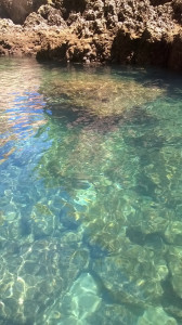 WP_20170728_023.jpg