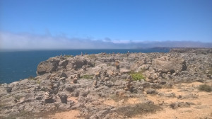 WP_20170728_050.jpg