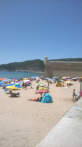 WP_20170729_005.jpg