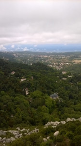 WP_20170730_009.jpg