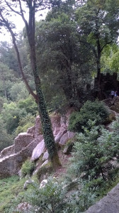 WP_20170730_012.jpg