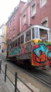WP_20170731_048.jpg