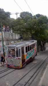 WP_20170731_050.jpg