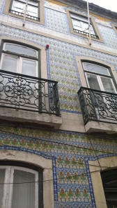 WP_20170731_058.jpg