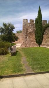 WP_20170801_030.jpg
