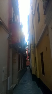 WP_20170802_006.jpg