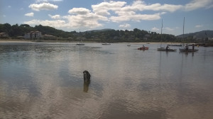 WP_20170812_001.jpg