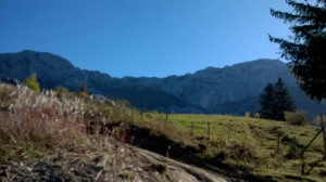 WP_20171015_002.jpg