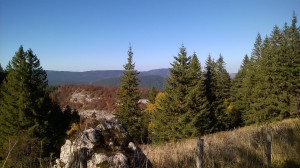 WP_20171015_003.jpg