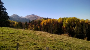 WP_20171015_004.jpg