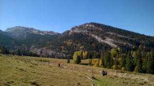 WP_20171015_005.jpg