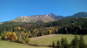 WP_20171015_006.jpg