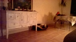 WP_20171127_001.jpg