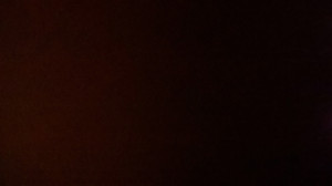 WP_20171204_012.jpg