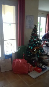 WP_20171224_002.jpg