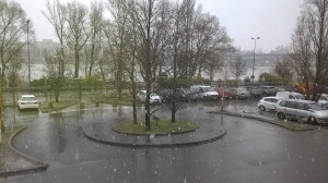 WP_20180126_001.jpg