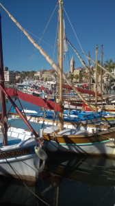 WP_20180204_003.jpg