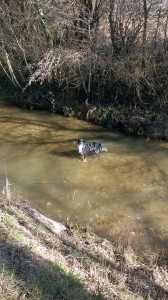 WP_20180302_003.jpg