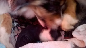 WP_20180405_002.jpg