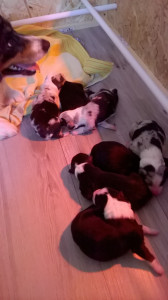 WP_20180405_011.jpg
