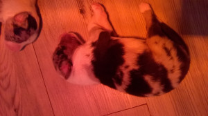 WP_20180408_002.jpg