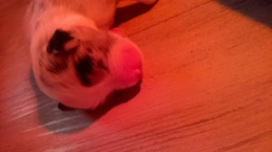 WP_20180408_003.jpg