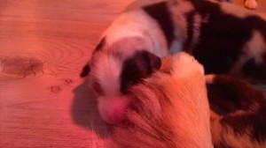 WP_20180409_010.jpg